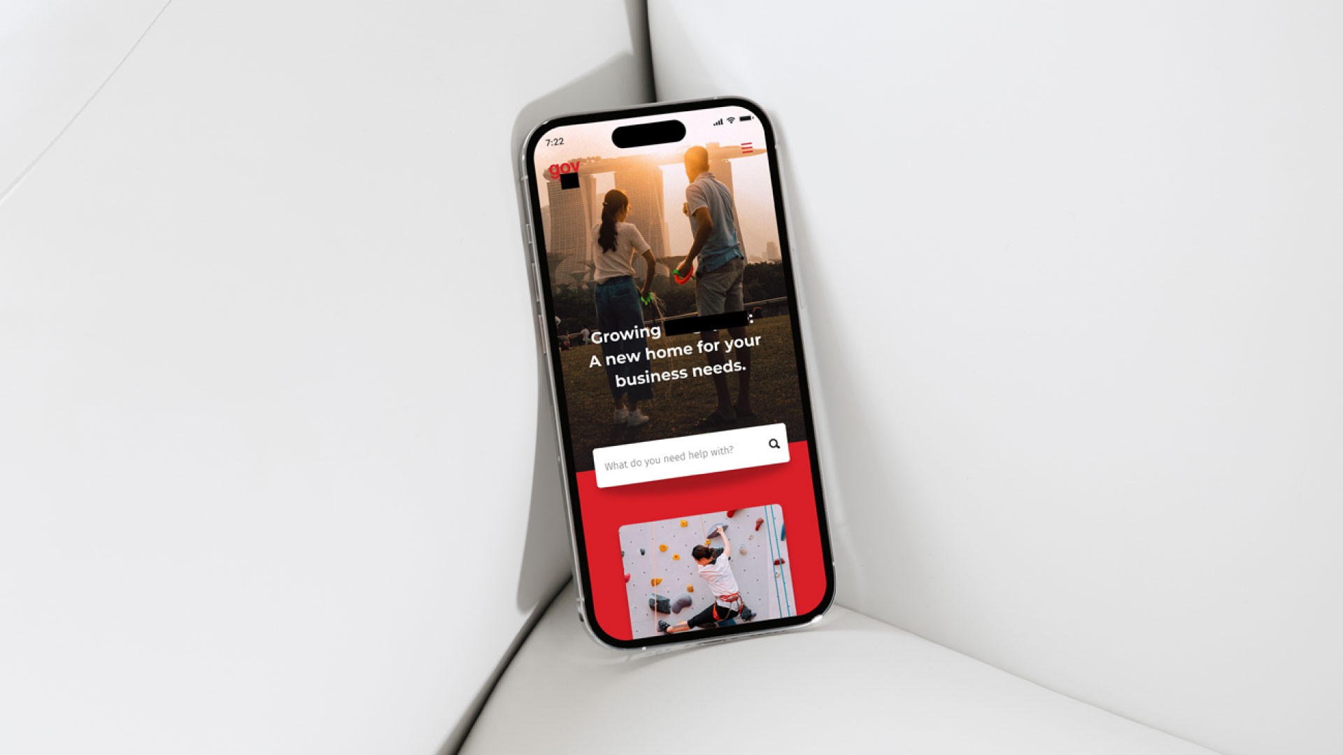 Government portal — mobile view